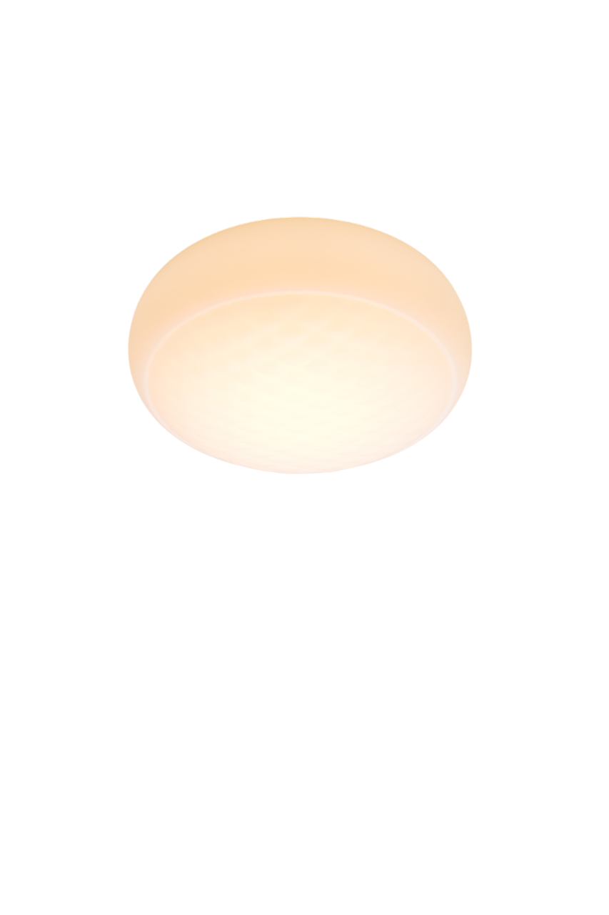 Print Flush Mount - Small Globe