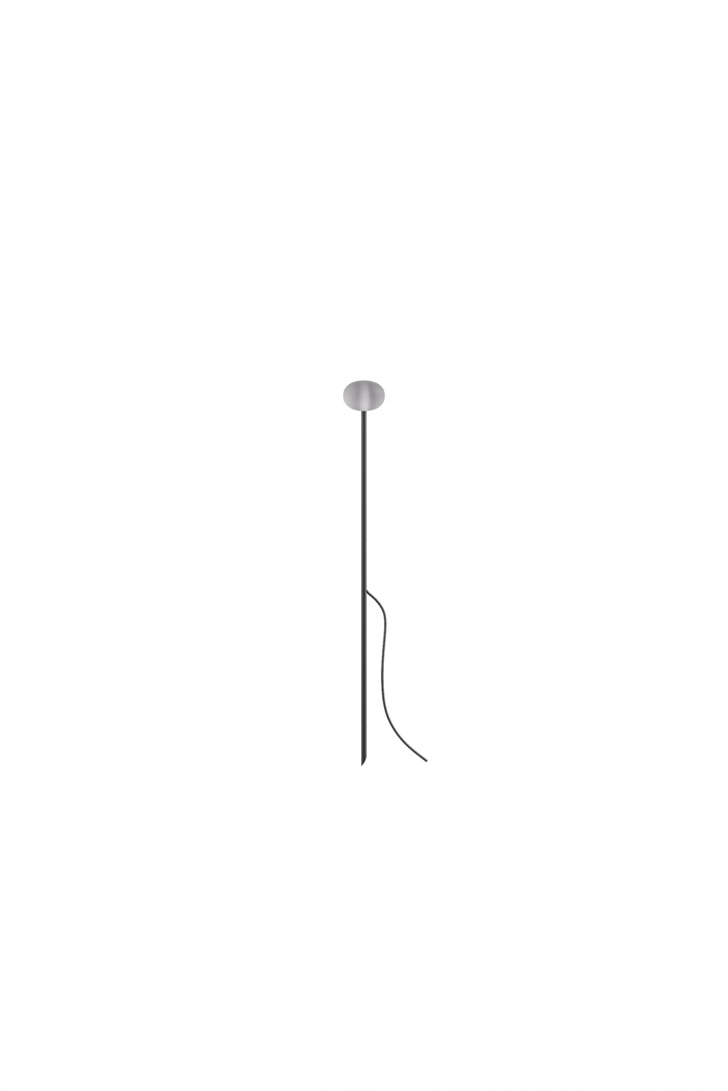 Reed - 30