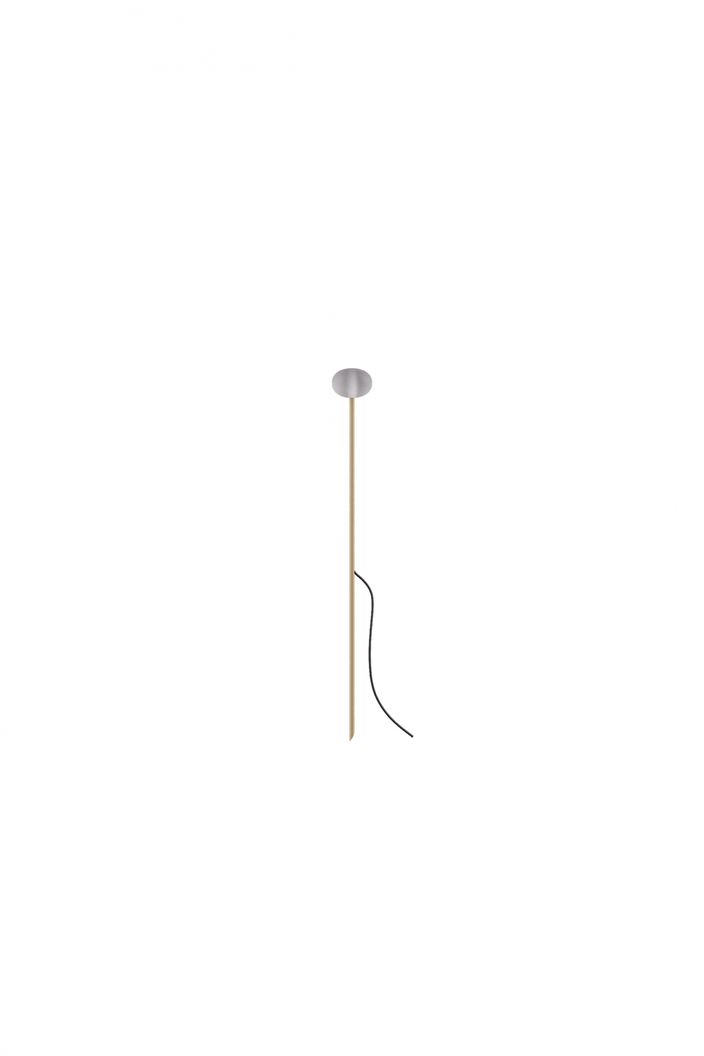 Reed - 30