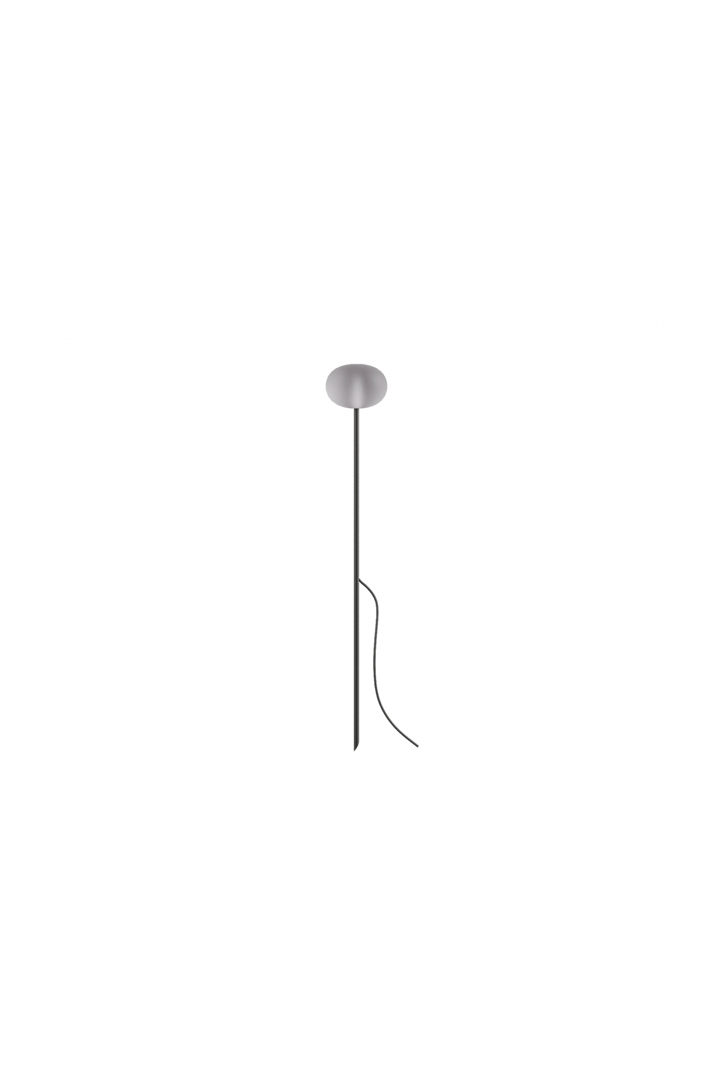 Reed - 30