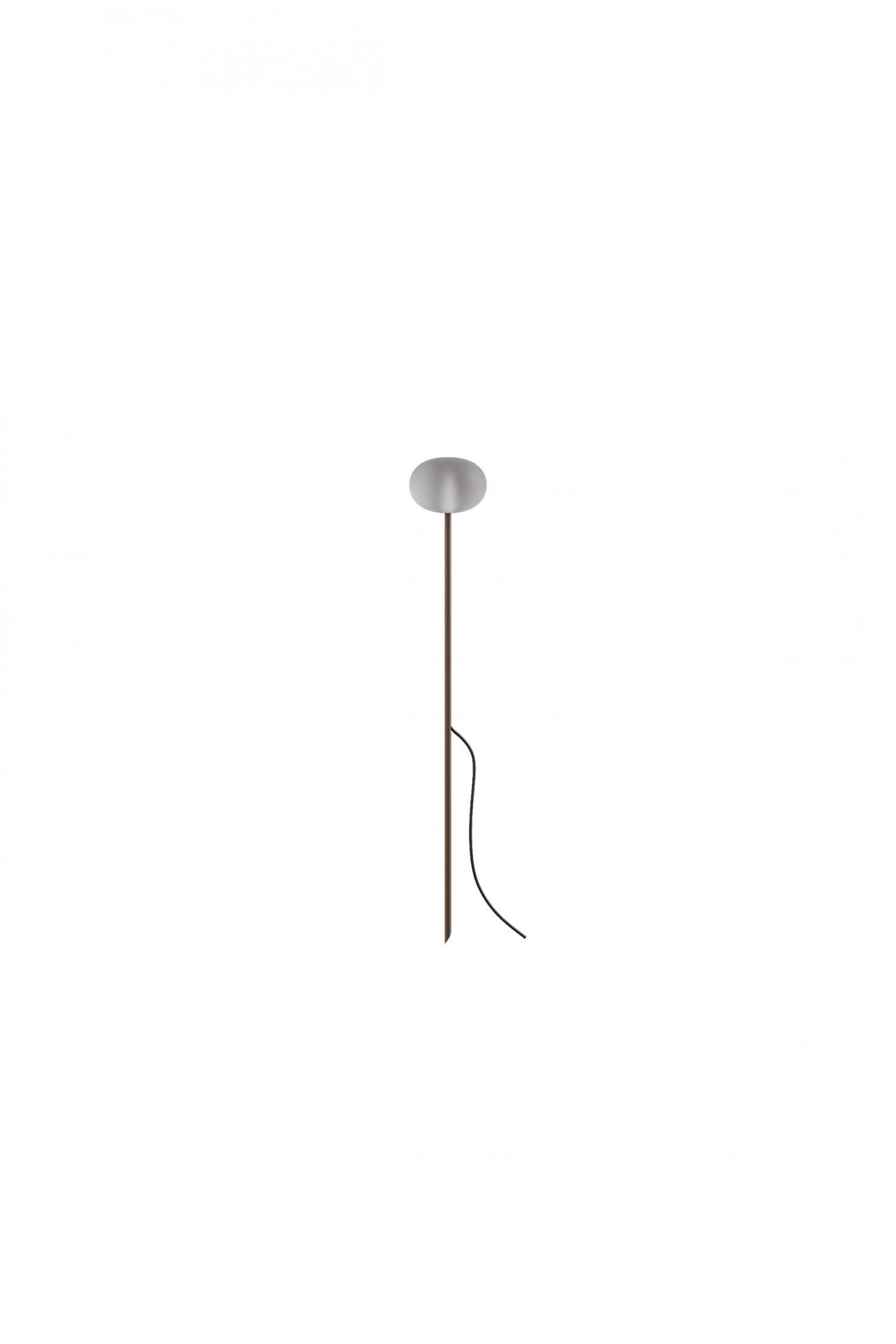 Reed - 30
