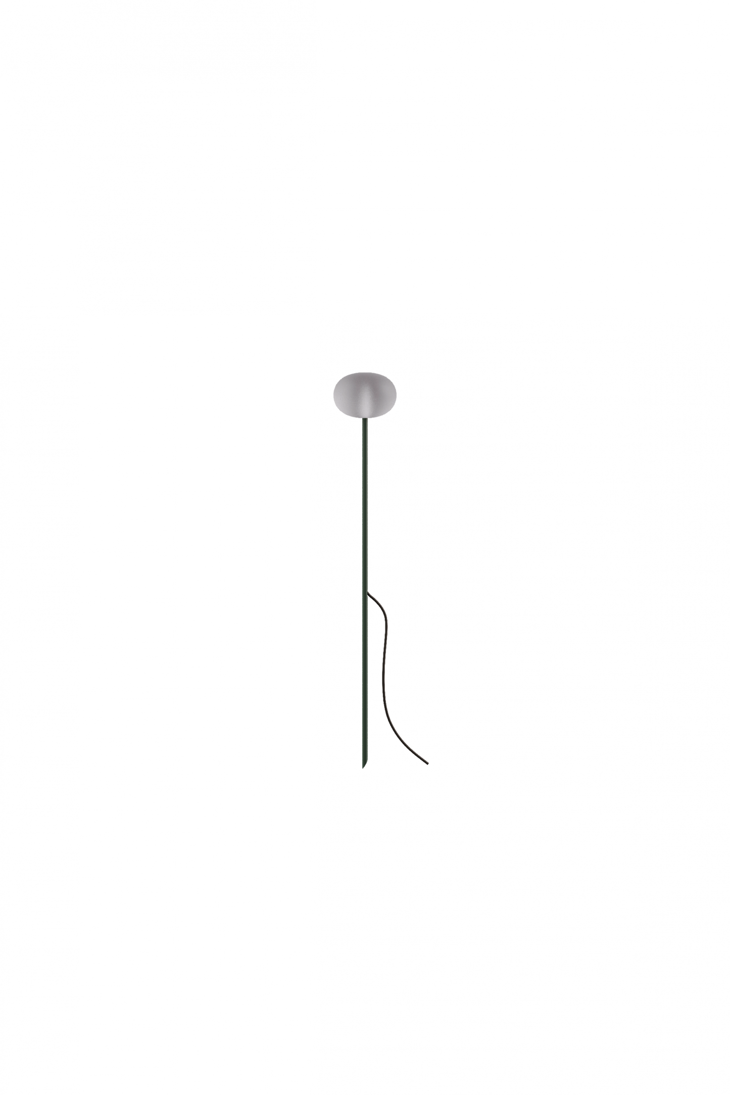 Reed - 30