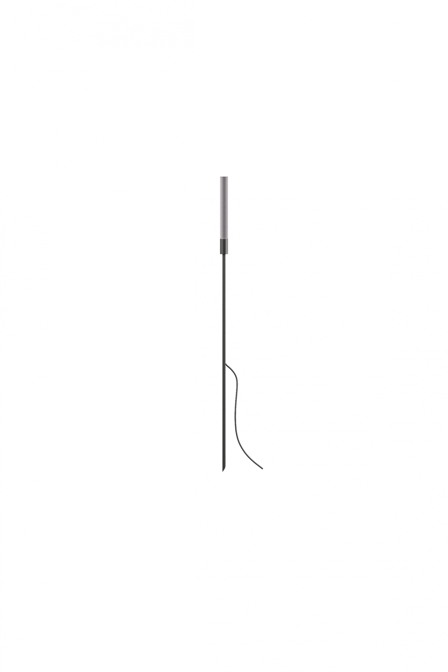 Reed - 30
