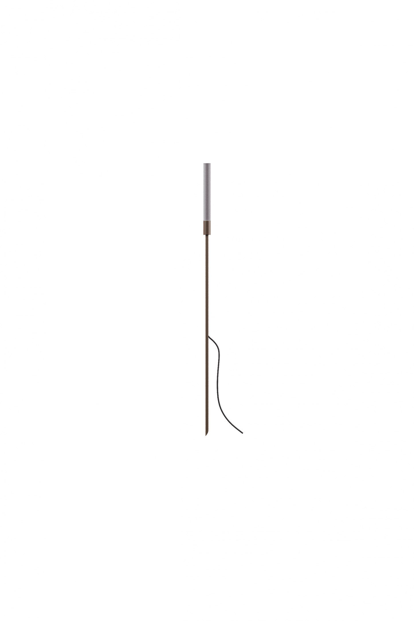 Reed - 30