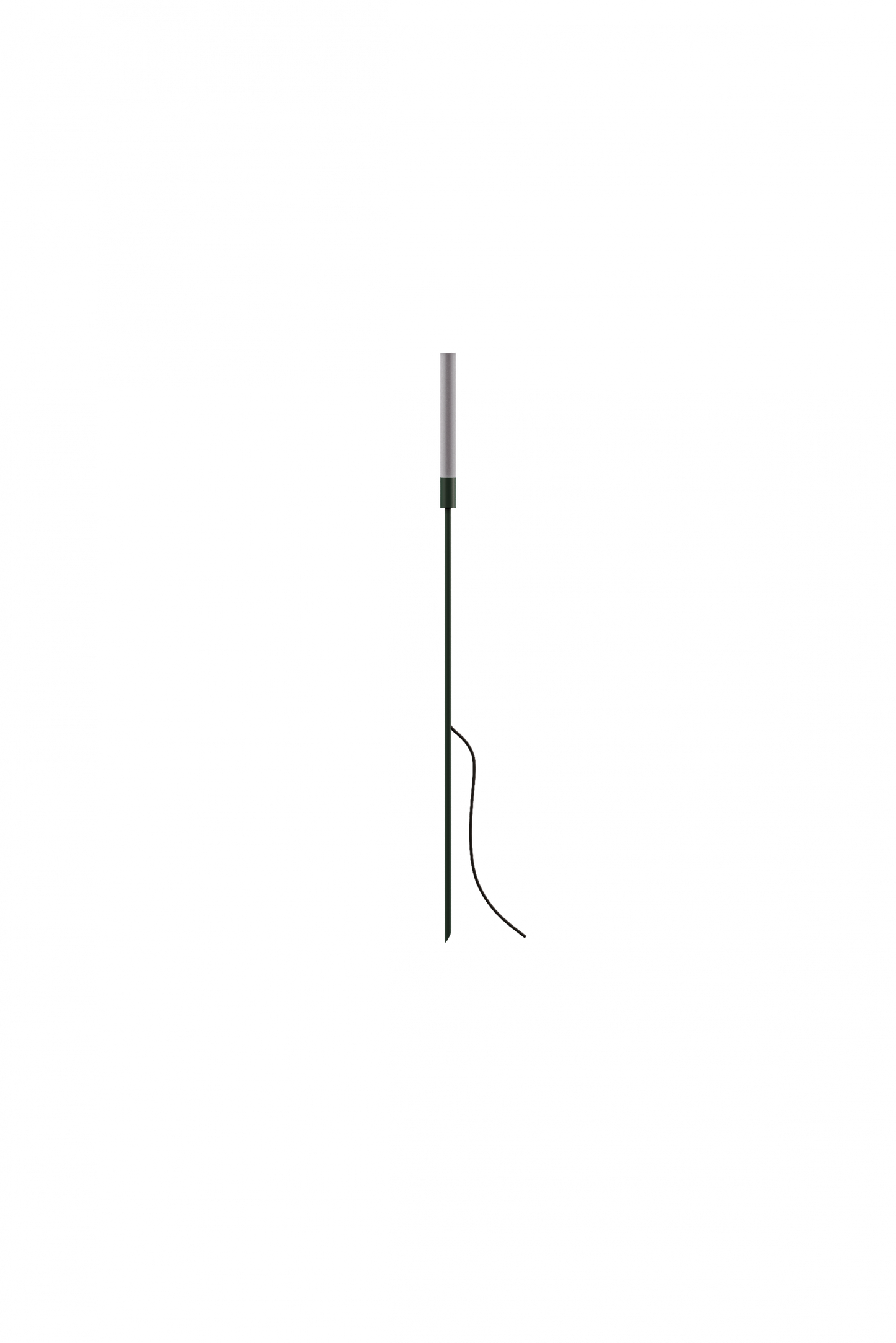 Reed - 30