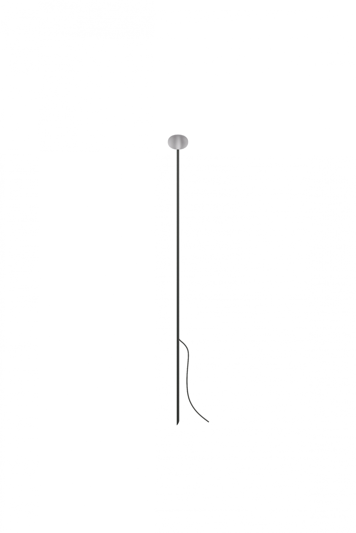 Reed - 60