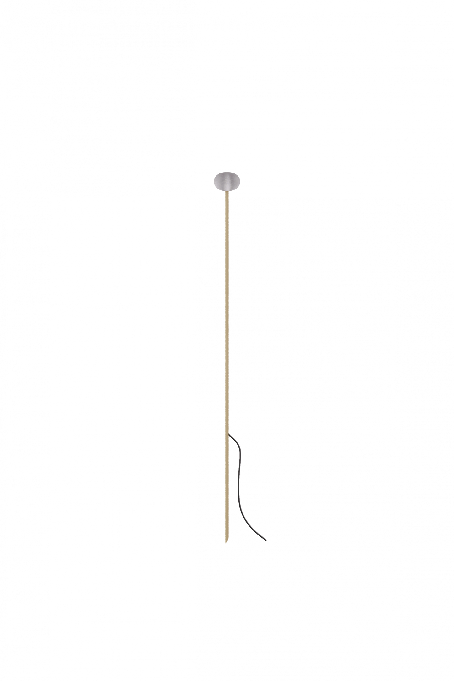 Reed - 60