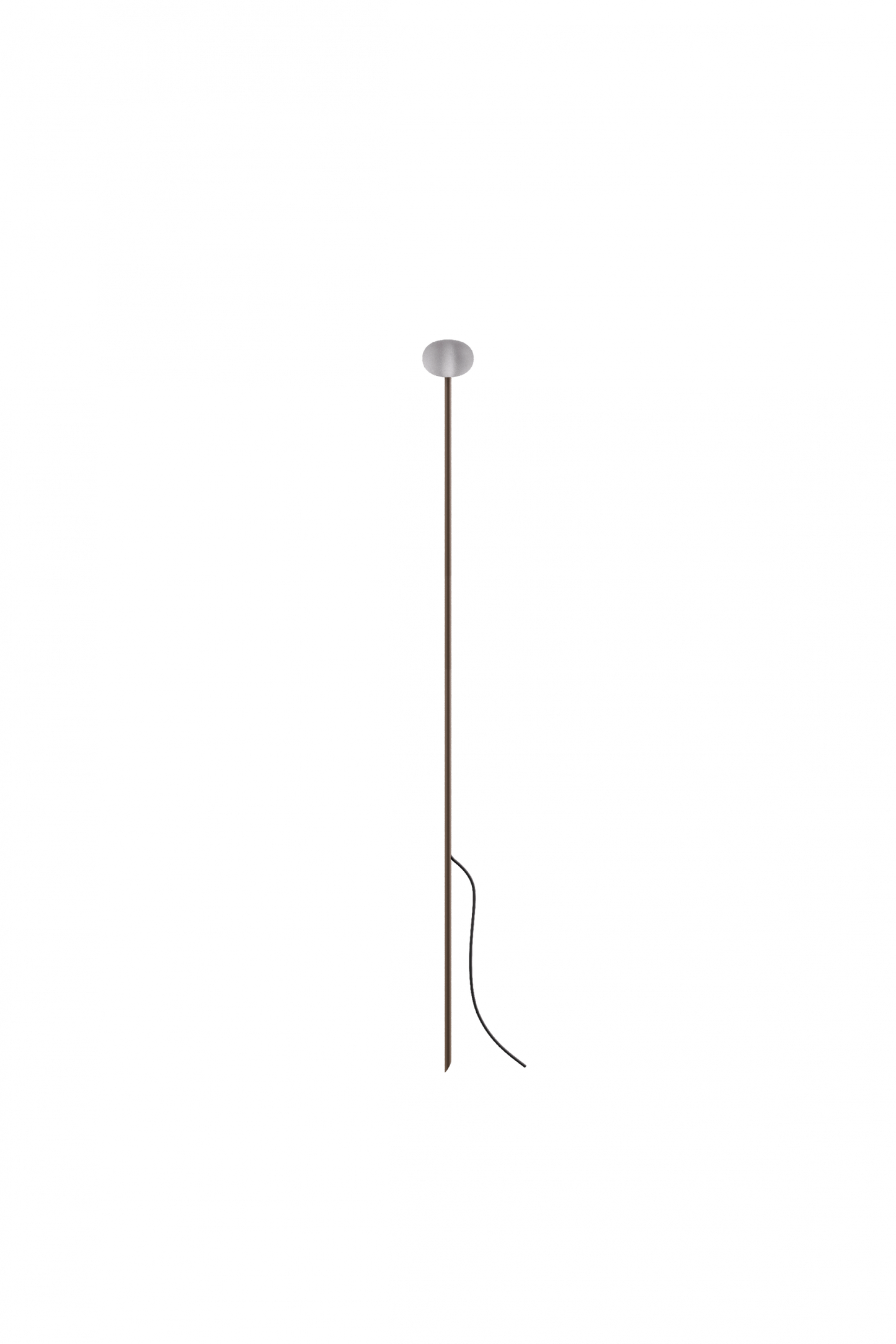 Reed - 60