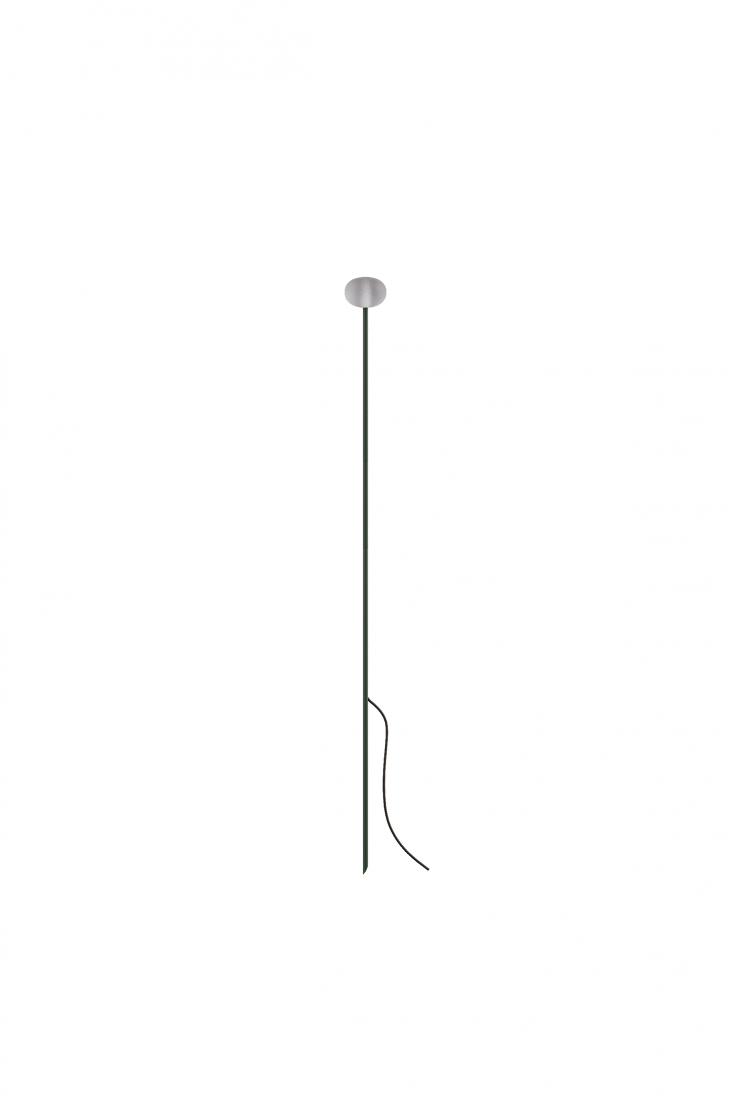 Reed - 60