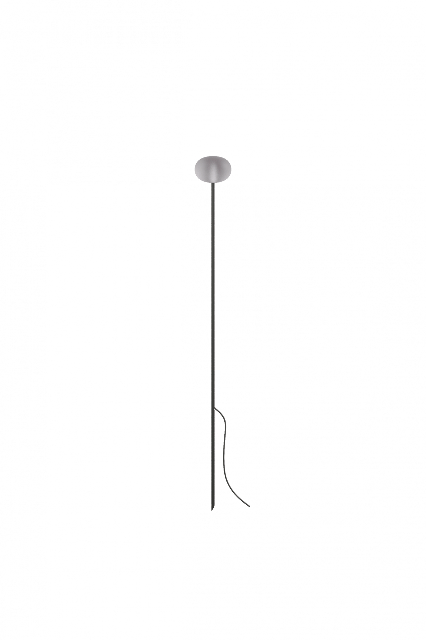 Reed - 60