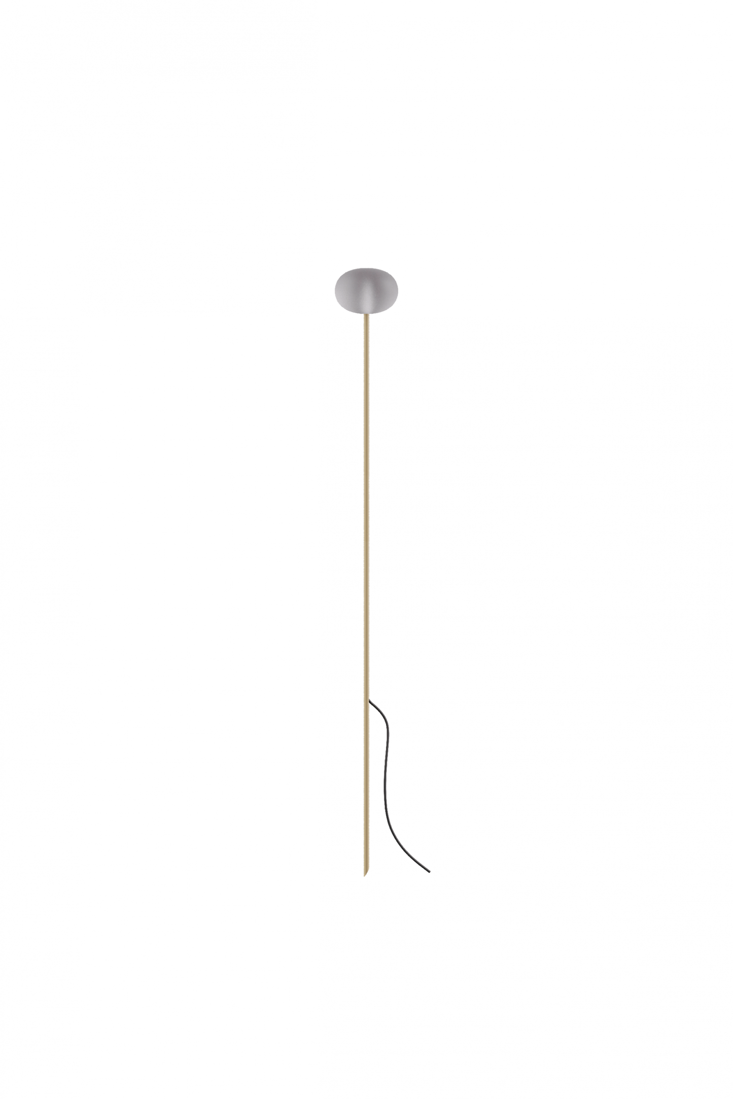 Reed - 60