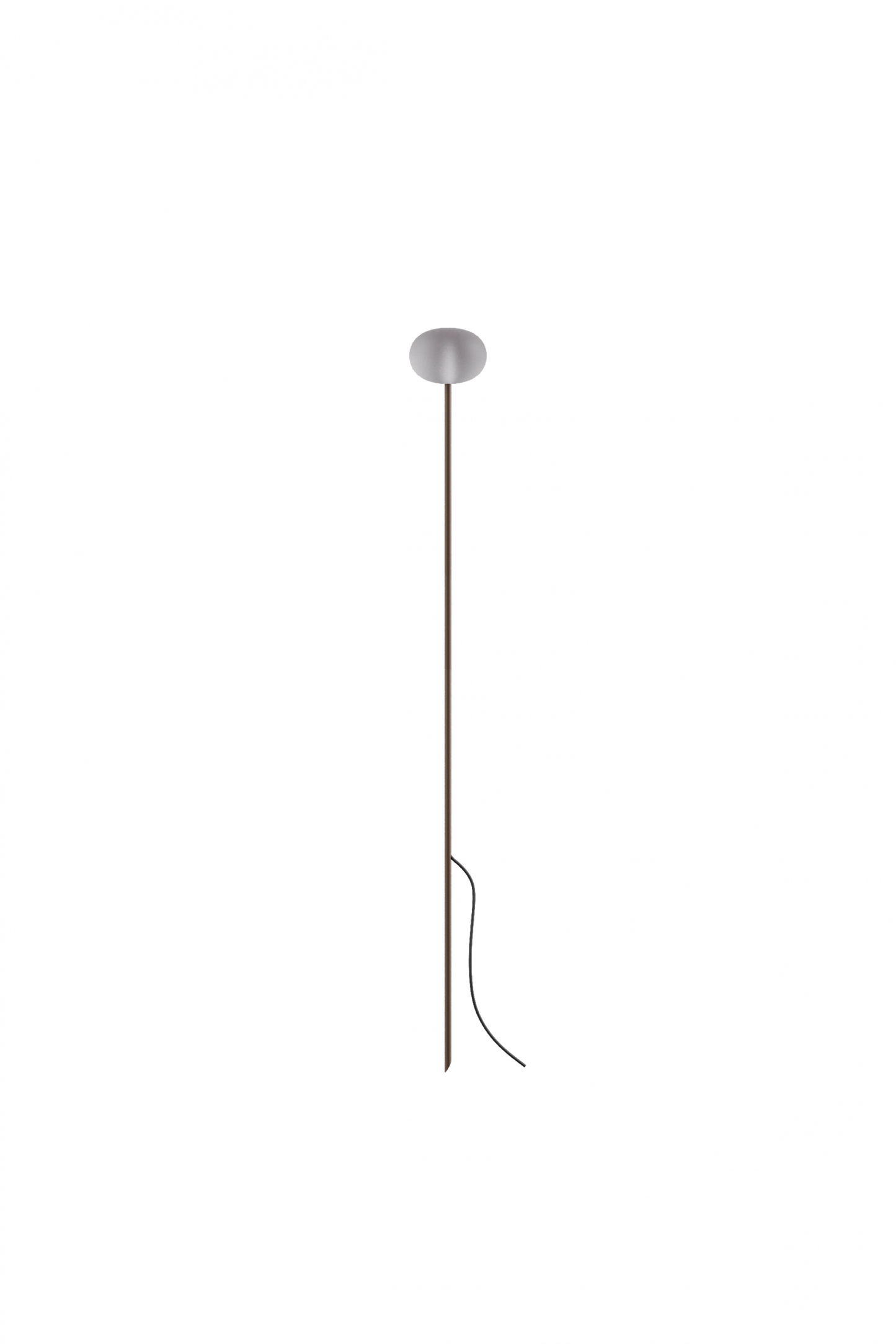 Reed - 60
