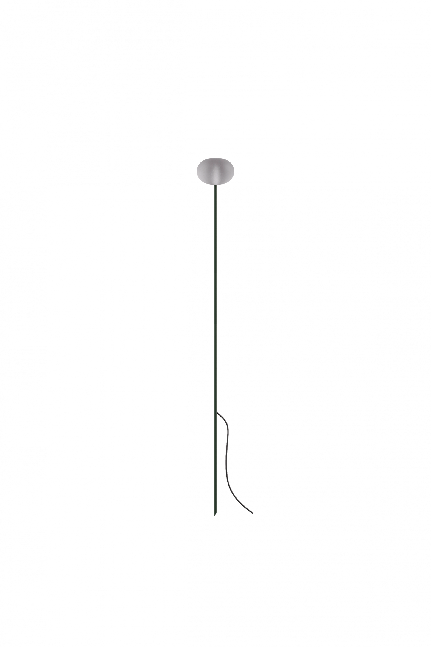 Reed - 60