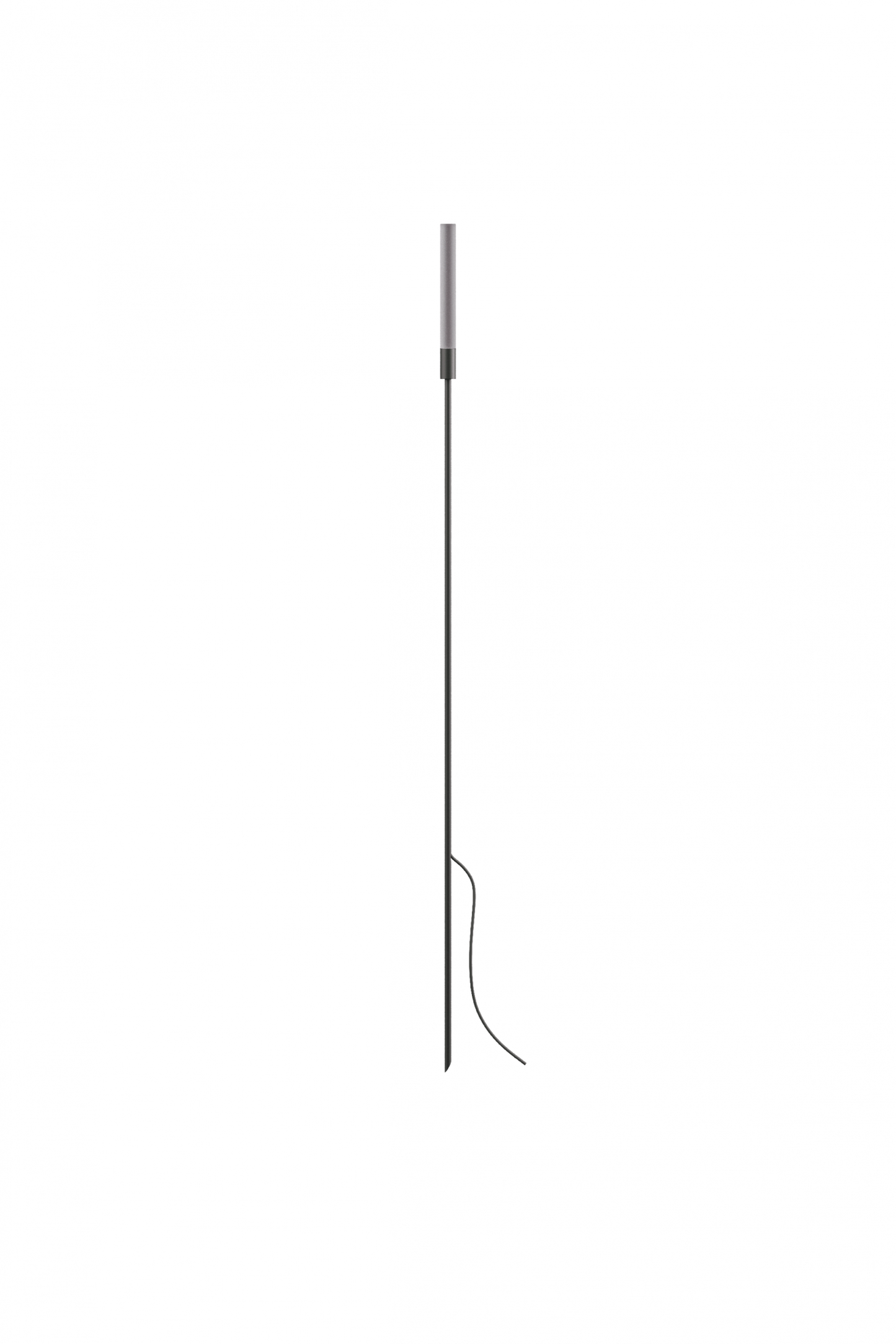 Reed - 60