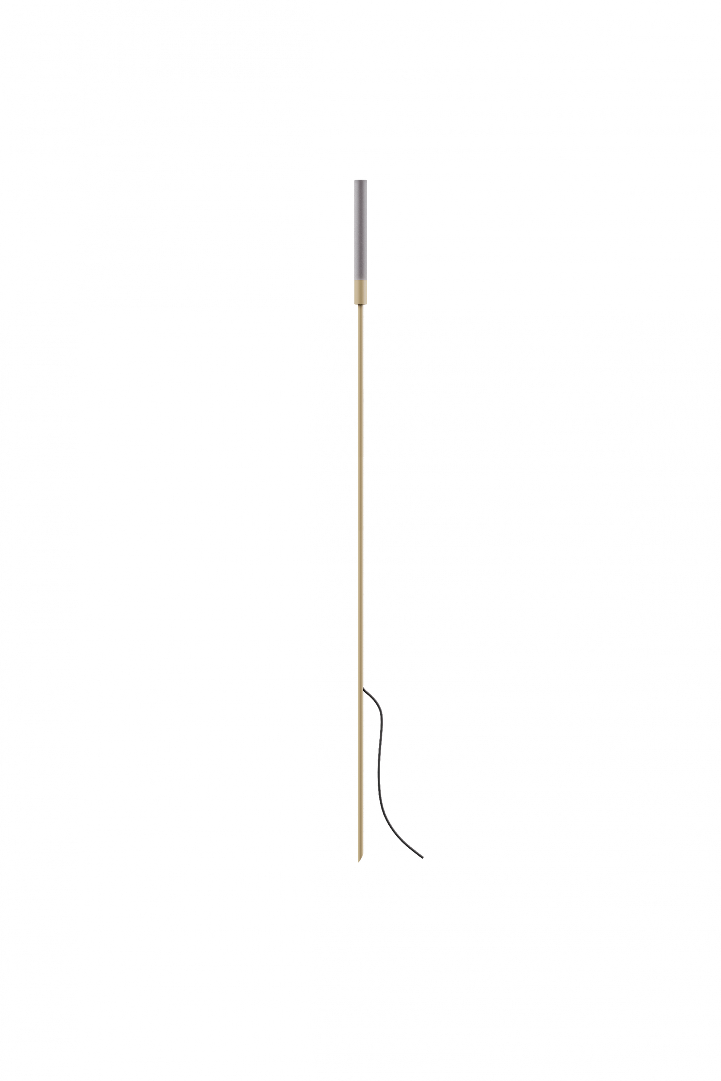 Reed - 60
