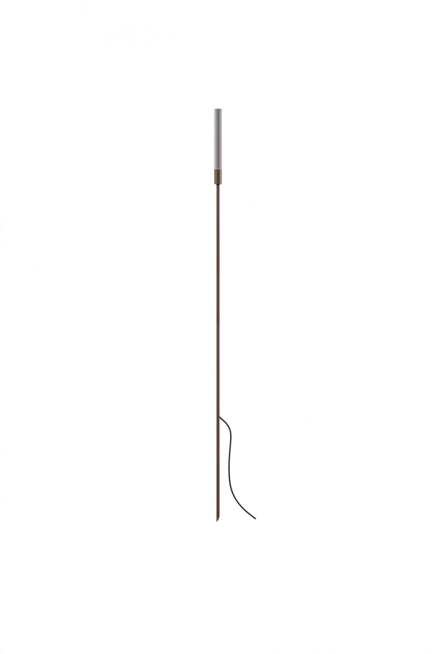 Reed - 60