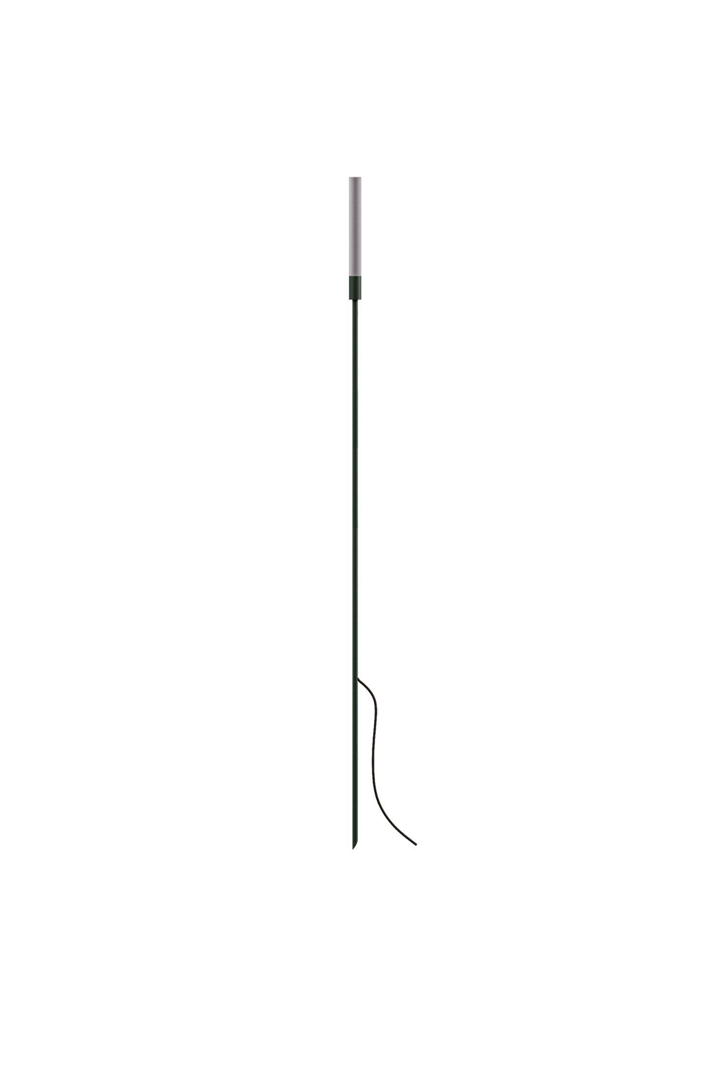 Reed - 60