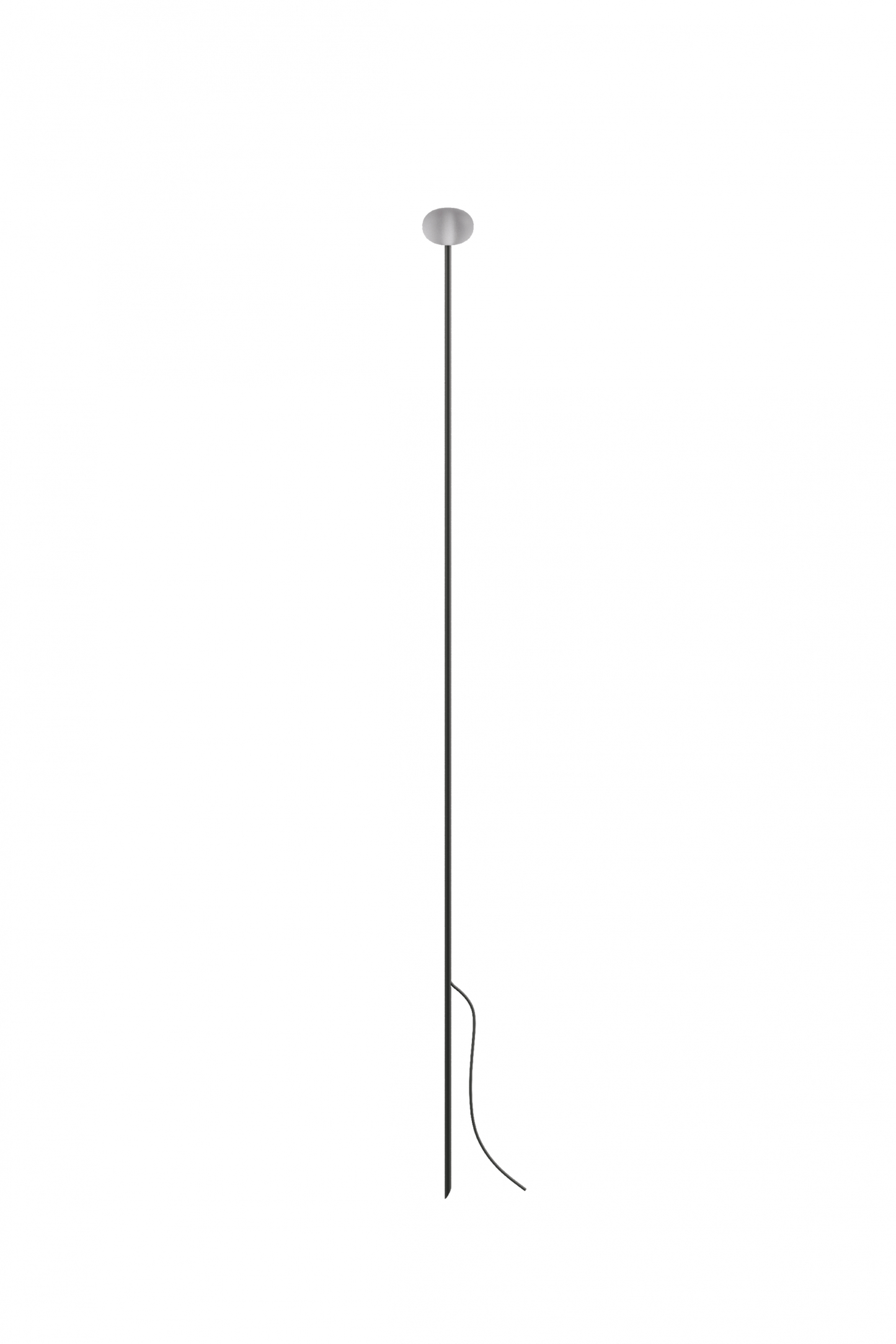 Reed - 90