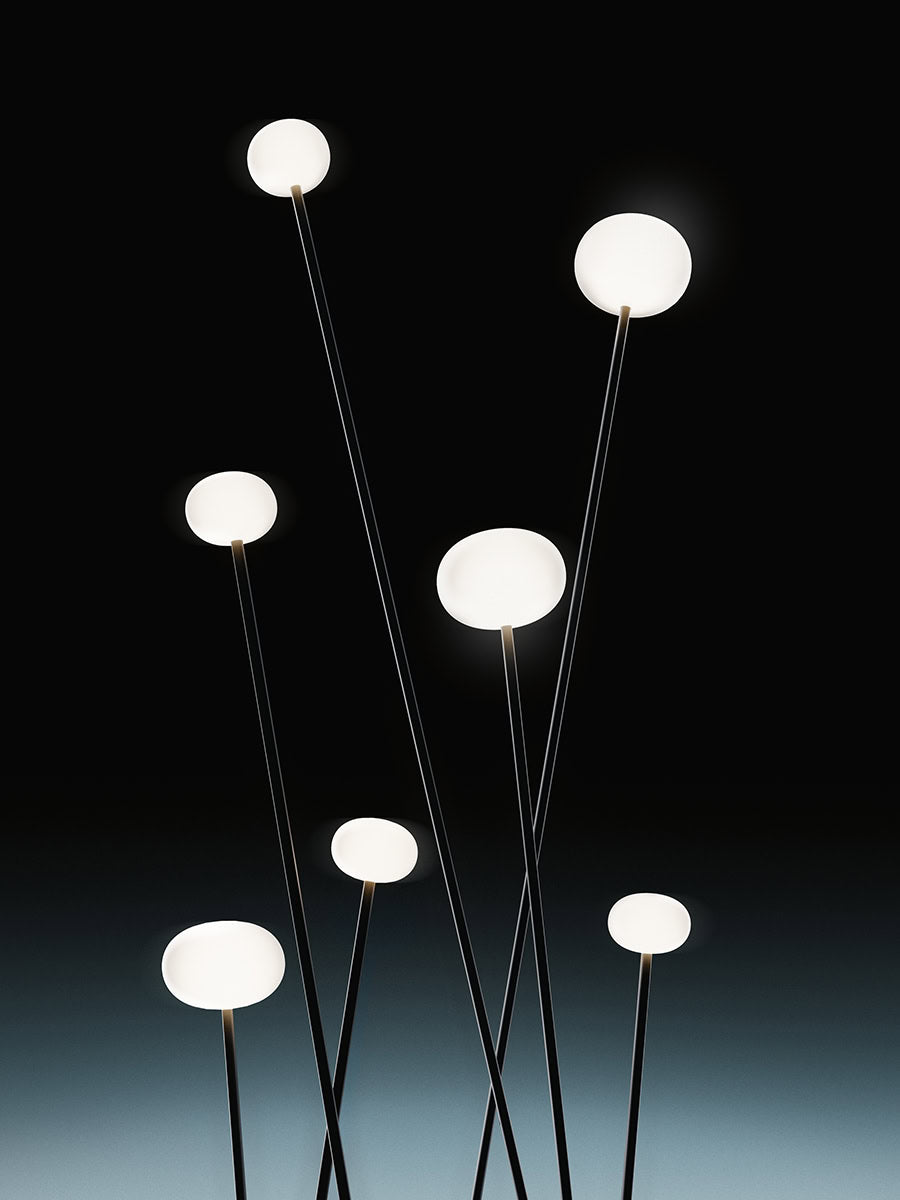 Reed - 30