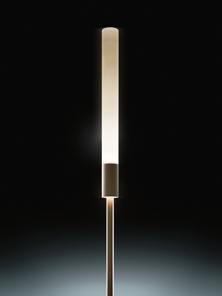 Reed - 60
