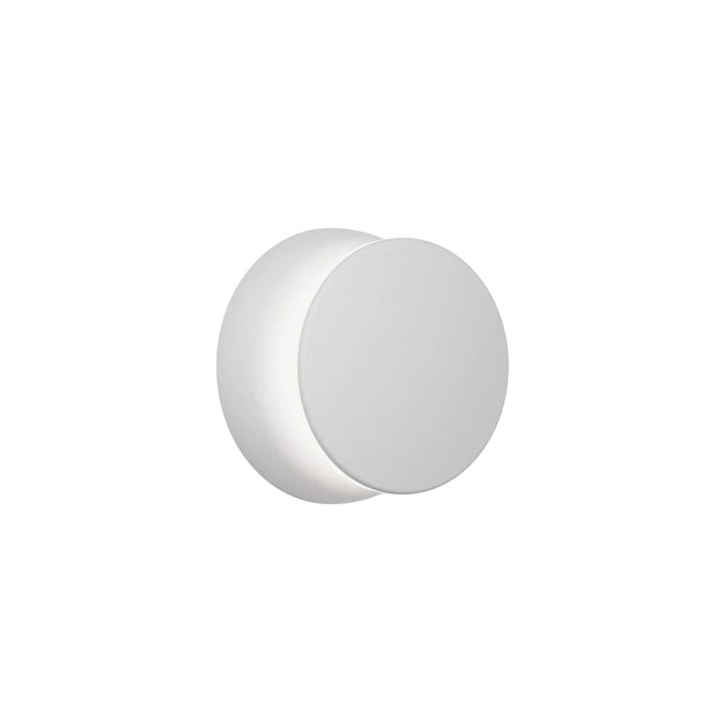 Totem Puck