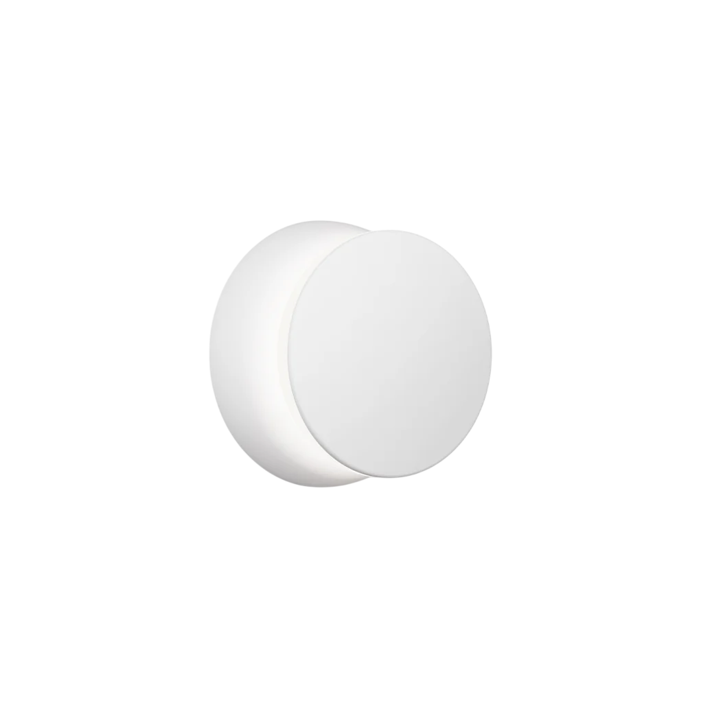 Totem Puck