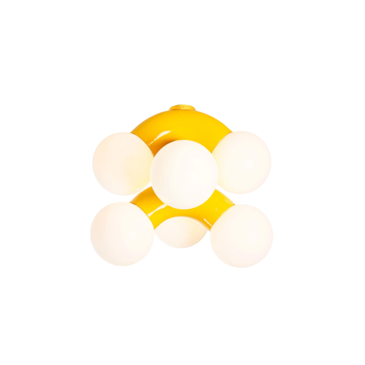 Vine Ceiling