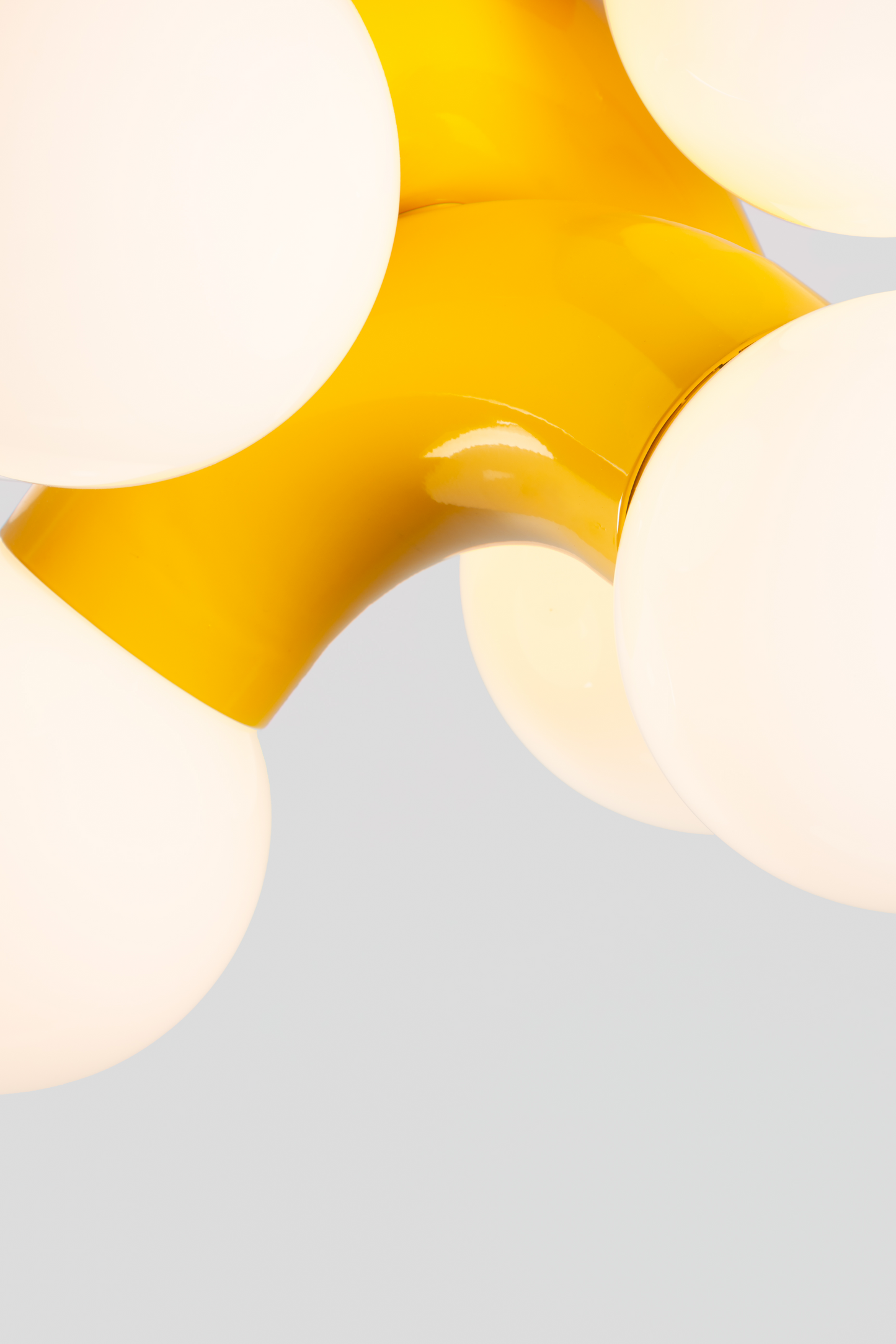 Vine Ceiling
