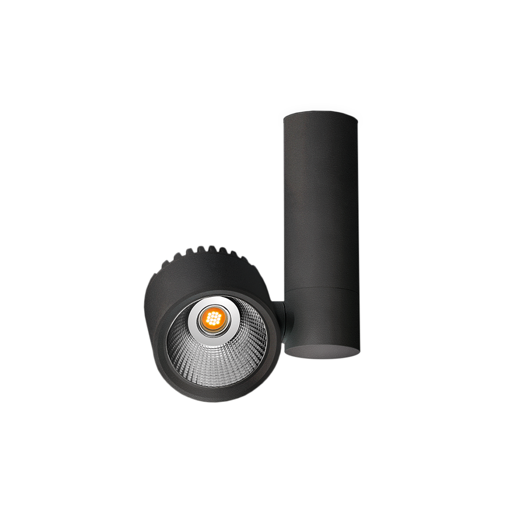 Zen Tube Surface