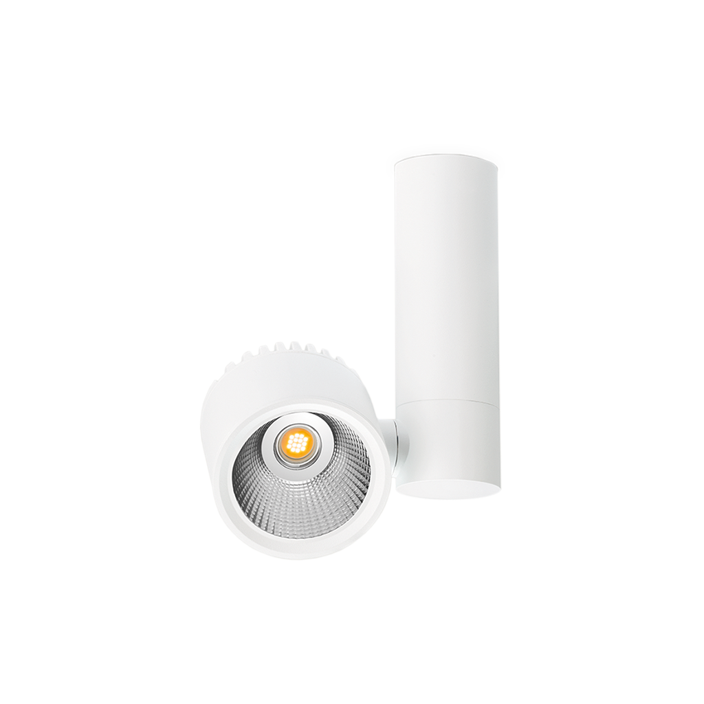 Zen Tube Surface