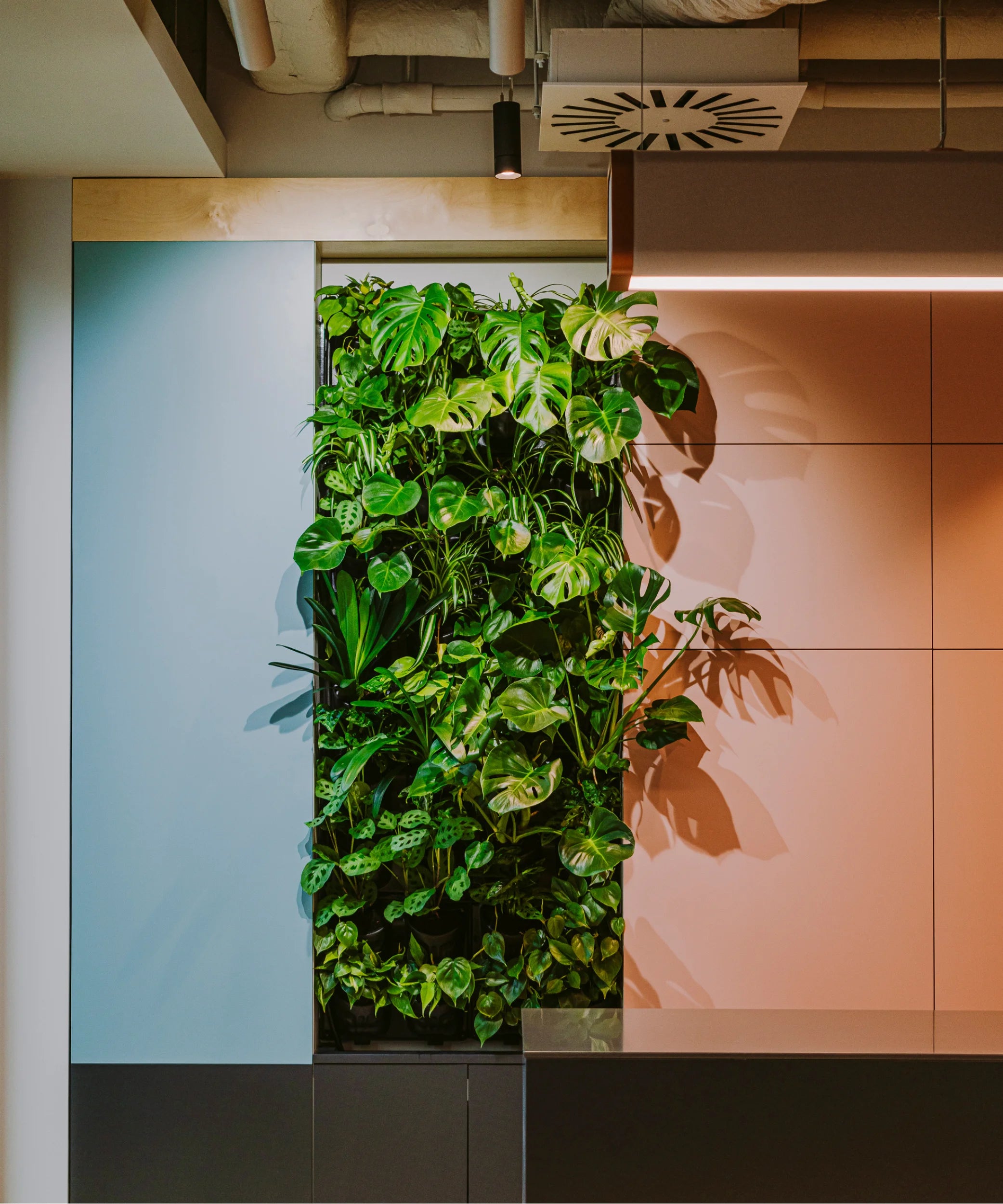 Flexxica Gaya acoustic fabric pendant light with plants