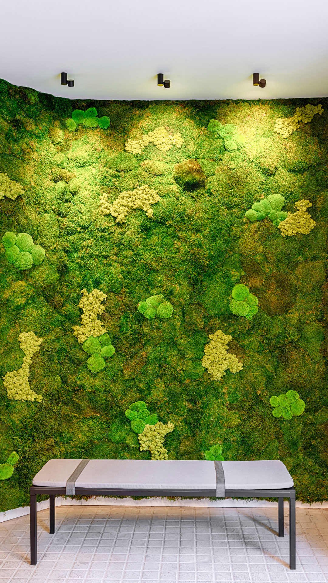 iO Surface
