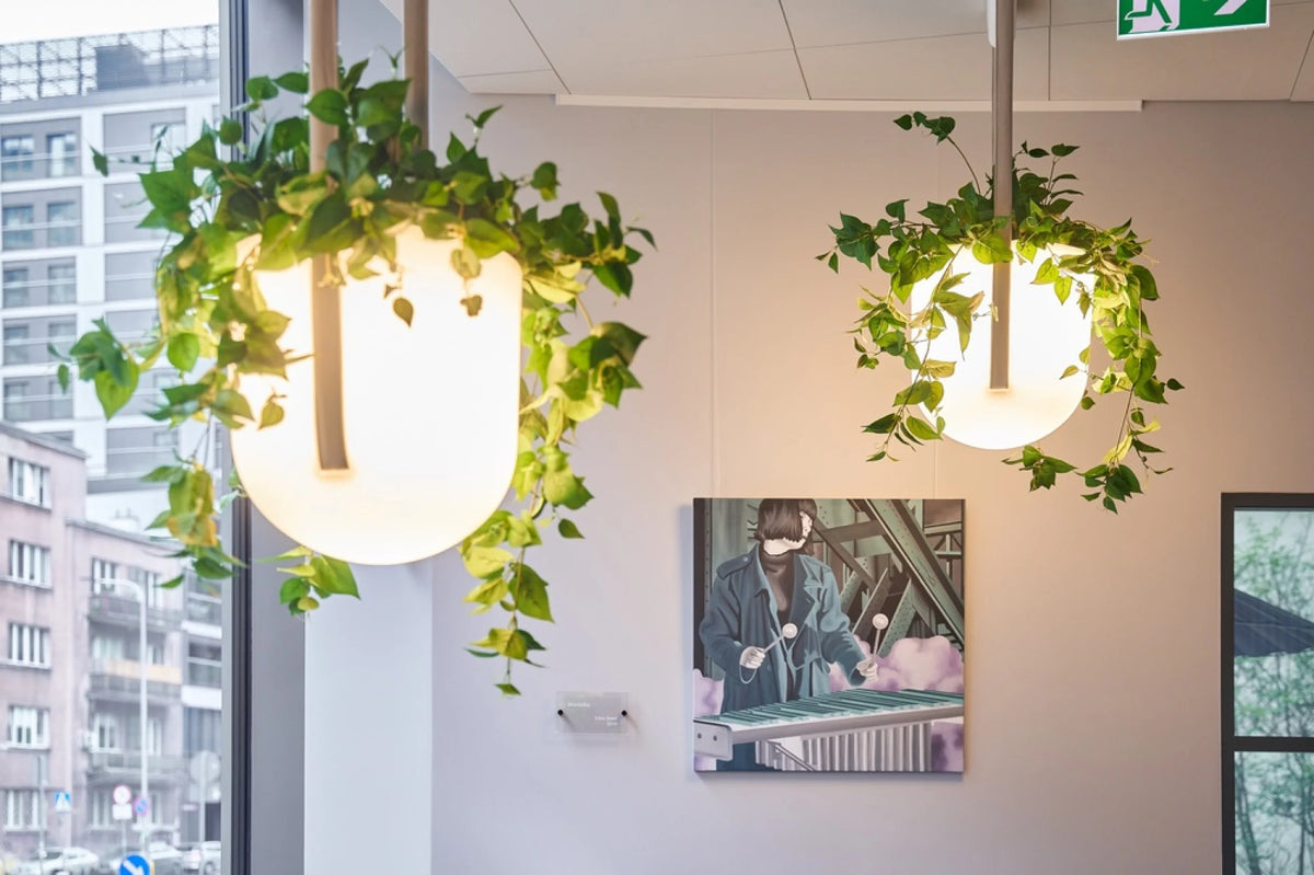 Flexxica Jungle planter pendants in a PKO Bank Polski office lounge
