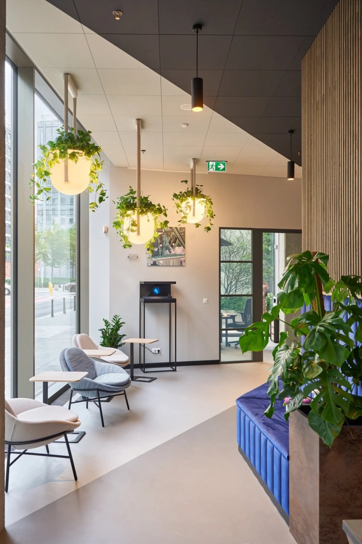 Flexxica Jungle pendant light with trailing plants in an office
