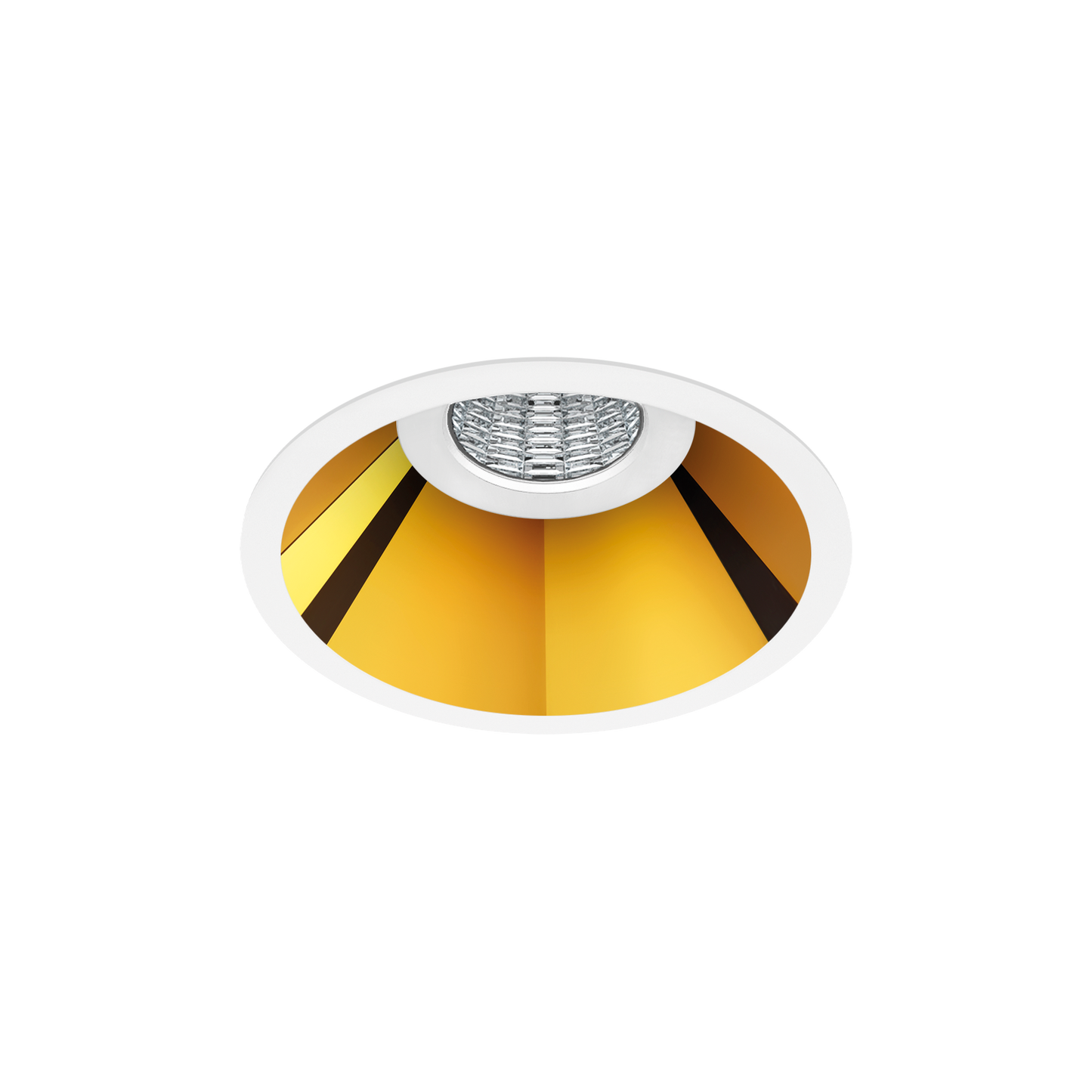 Shot Light - Medium