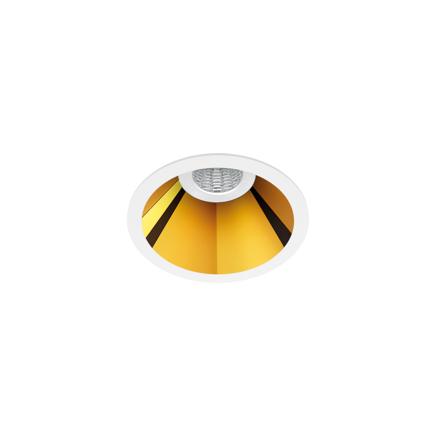 Shot Light - Small